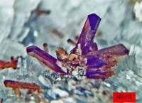 /album/galerie-photos/trimounts-allanite-6811-mod2-jpg1/